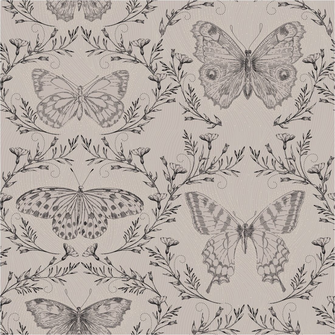 Tadessi Fototapete Schmetterling M1-No.11614 Digitaldruck Tapete Grau Greige - Wohnzimmer Schlafzimmer