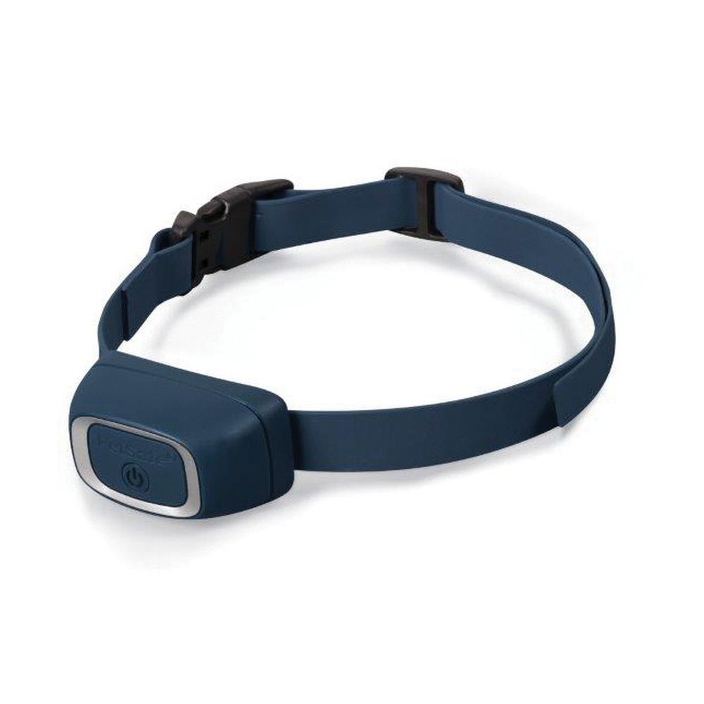 Hundehalsband | Wiederaufladbares Bellhundehalsband Lite