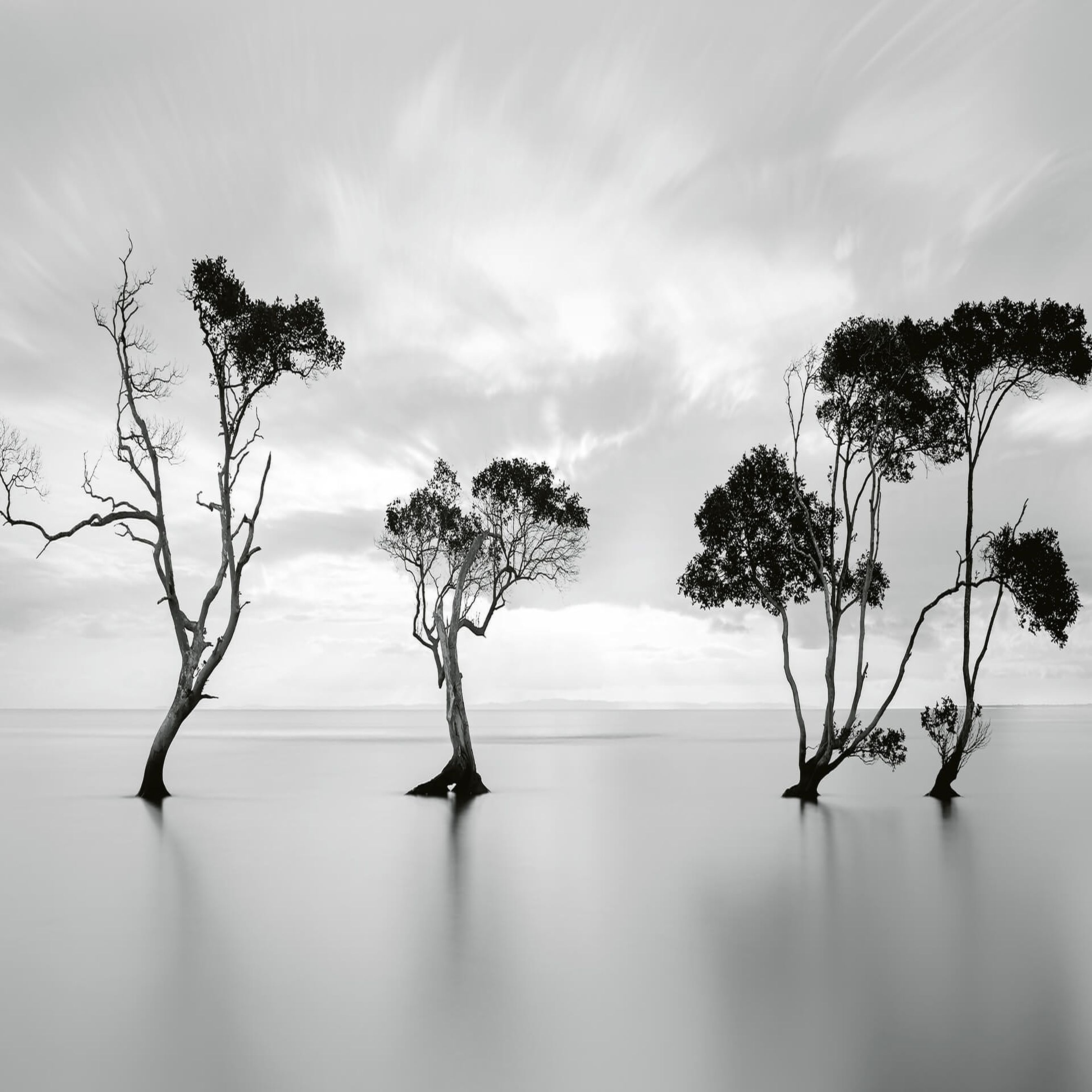 A.S. Creation | Designwalls 2.0 | DD118930 | Fototapete | Vlies | 384 x 260 cm | Landschaft