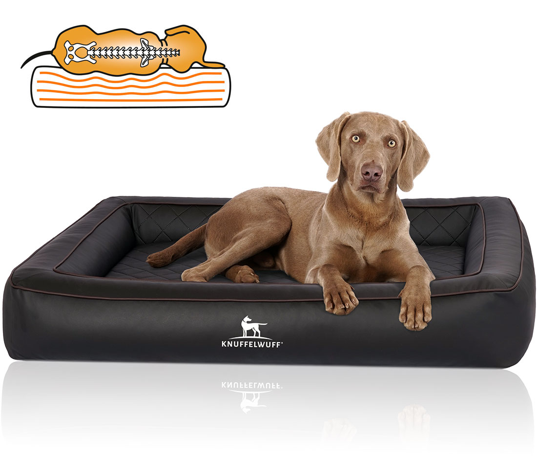 Knuffelwuff | Orthopädisches Hundebett Hampstead | Ergonomisch | Hundematte | Matratze | Memory Foam